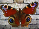 Blending Modes